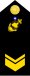Thumbnail for version as of 23:21, 10 November 2017