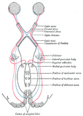 Thumbnail for version as of 21:32, 21 January 2006