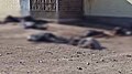 Thumbnail for version as of 22:35, 17 March 2022