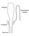Thumbnail for version as of 15:43, 11 October 2009