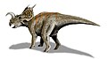 Thumbnail for version as of 06:02, 6 January 2008