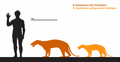 Thumbnail for version as of 21:05, 23 June 2025