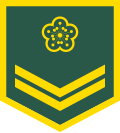 Thumbnail for version as of 11:11, 5 November 2017