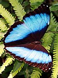 Thumbnail for version as of 22:46, 7 January 2016