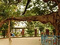 Thumbnail for version as of 10:05, 3 March 2016