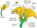Thumbnail for version as of 14:06, 26 April 2025