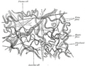 Thumbnail for version as of 13:40, 8 February 2006