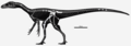 Thumbnail for version as of 00:36, 13 October 2020
