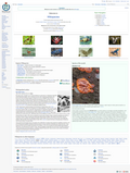 Thumbnail for version as of 20:42, 23 October 2021