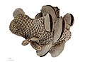 Thumbnail for version as of 14:45, 7 February 2013