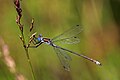 Thumbnail for version as of 13:18, 5 September 2016