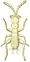Thumbnail for version as of 12:52, 11 January 2021