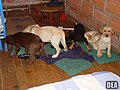 Thumbnail for version as of 13:48, 2 February 2006