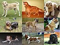Thumbnail for version as of 21:48, 3 July 2010