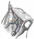 Thumbnail for version as of 03:47, 8 February 2006