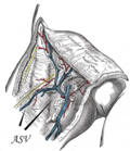 Thumbnail for version as of 15:14, 9 February 2013