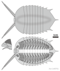 Thumbnail for version as of 14:21, 19 February 2025