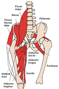 Thumbnail for version as of 01:10, 31 January 2006