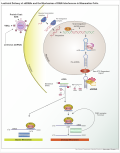 Thumbnail for version as of 22:09, 2 February 2010