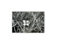 Thumbnail for version as of 17:40, 2 July 2018