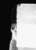 Thumbnail for version as of 23:51, 8 June 2020