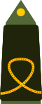 Thumbnail for version as of 19:42, 21 July 2017