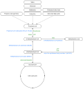 Thumbnail for version as of 17:56, 10 January 2025