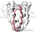 Thumbnail for version as of 11:58, 18 May 2006
