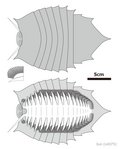 Thumbnail for version as of 16:42, 1 March 2025