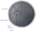 Thumbnail for version as of 17:32, 23 January 2007