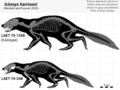 Thumbnail for version as of 17:09, 7 August 2025