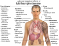 Thumbnail for version as of 14:05, 5 September 2009
