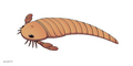 Thumbnail for version as of 15:43, 11 June 2020