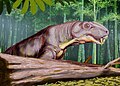 Thumbnail for version as of 17:30, 9 April 2008