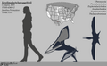Thumbnail for version as of 15:14, 3 August 2021