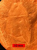Thumbnail for version as of 14:18, 24 August 2008