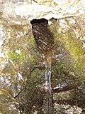 Thumbnail for version as of 18:52, 24 July 2006