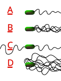 Thumbnail for version as of 23:57, 20 September 2007