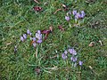 Thumbnail for version as of 14:54, 2 March 2010