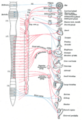 Thumbnail for version as of 11:38, 18 May 2006
