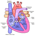 Thumbnail for version as of 14:53, 29 October 2012