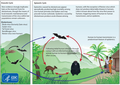 Thumbnail for version as of 20:30, 2 August 2014