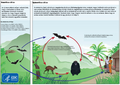 Thumbnail for version as of 15:52, 5 June 2015