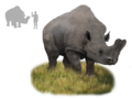 Thumbnail for version as of 15:28, 19 May 2017