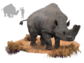 Thumbnail for version as of 09:07, 3 July 2017