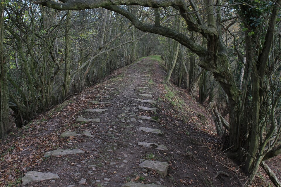 File:Grosmont Railway embankment at Werngifford.jpg