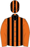 Orange, black stripes, orange sleeves