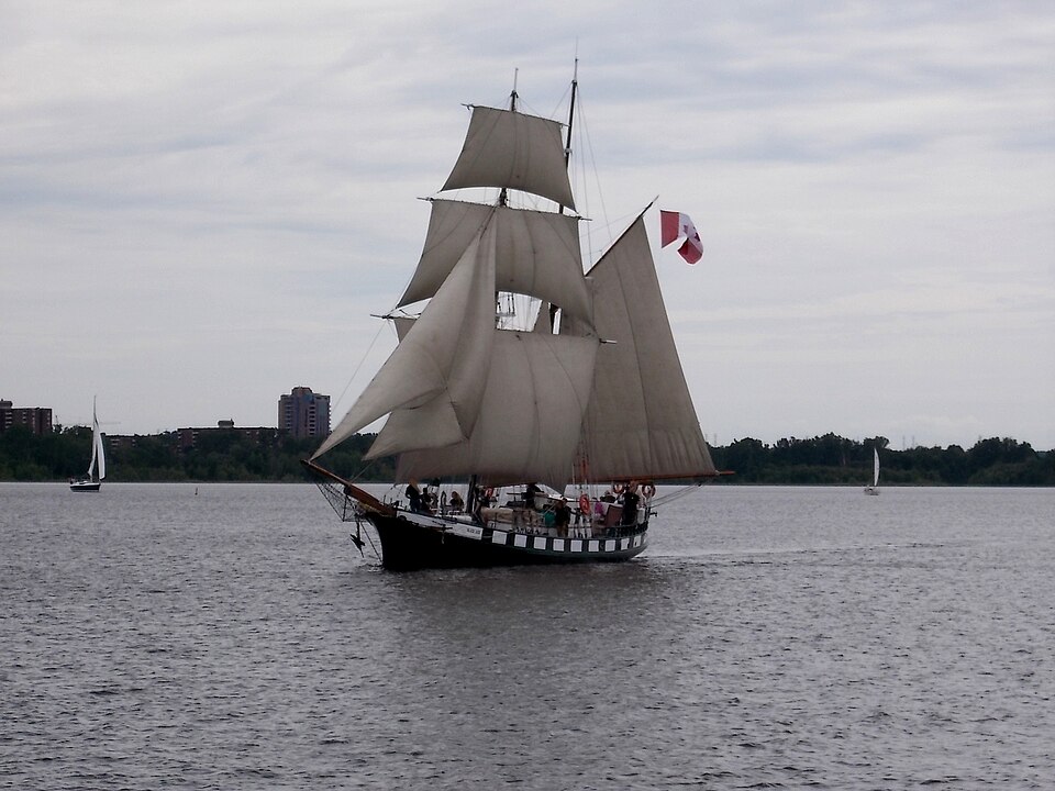 File:STV Black Jack 2342.JPG