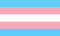 The transgender pride flag