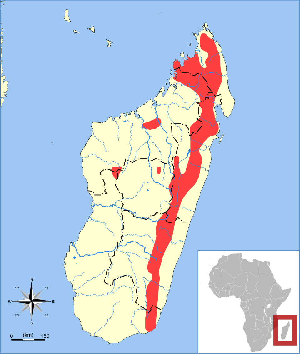 File:Eliurus minor range map.svg